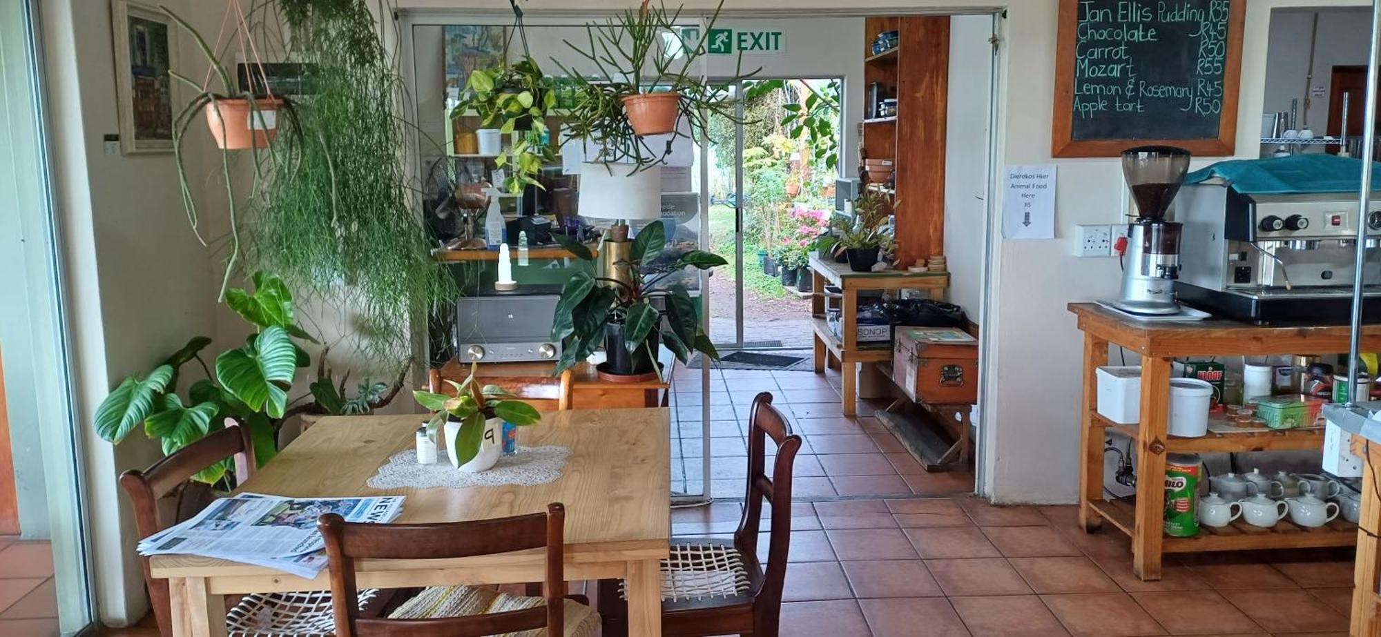 Villa Blombos Self-Catering House Franskraalstrand Esterno foto