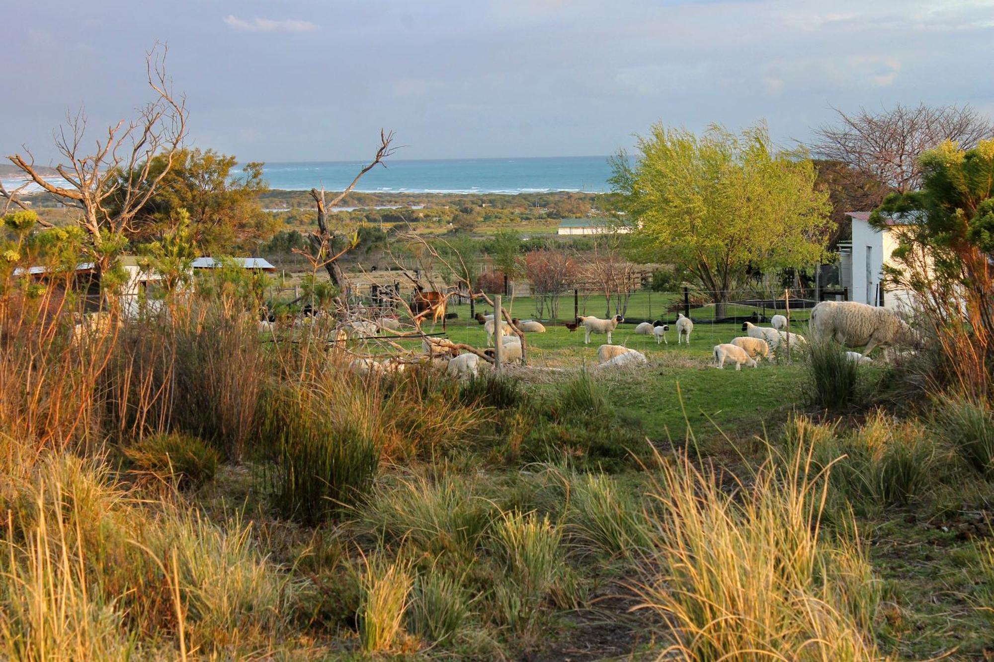 Villa Blombos Self-Catering House Franskraalstrand Esterno foto