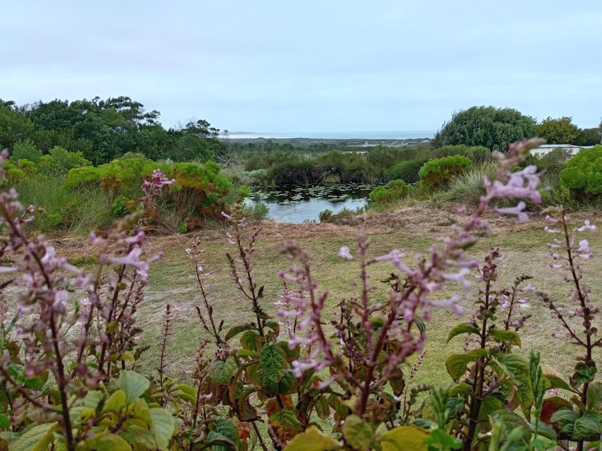Villa Blombos Self-Catering House Franskraalstrand Esterno foto